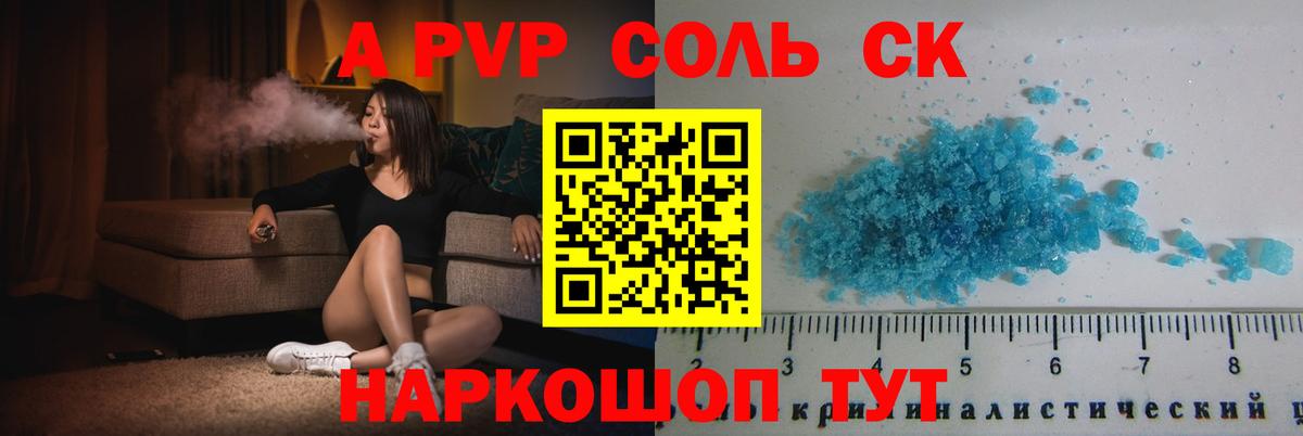 A PVP СК КРИС Светлоград