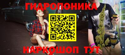гидропоника Пушкино